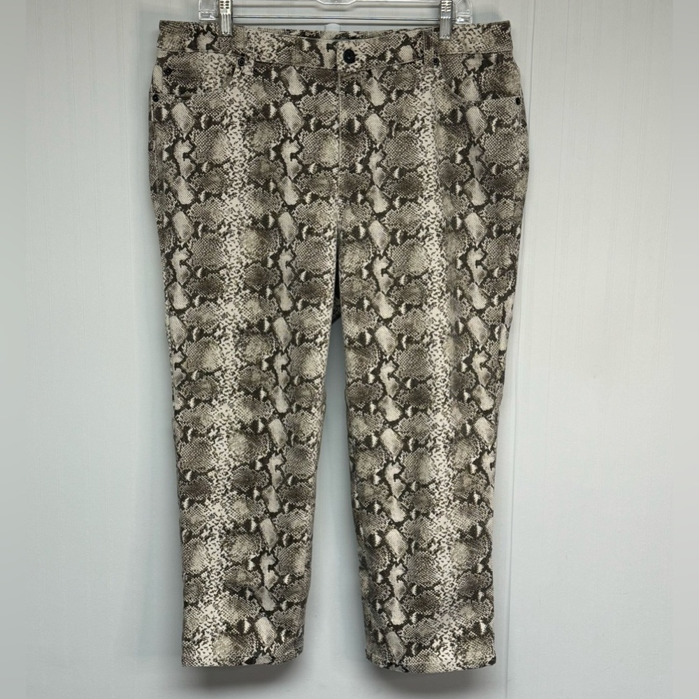 Chico’s Platinum Denim - Size 16 (Chico’s 3)